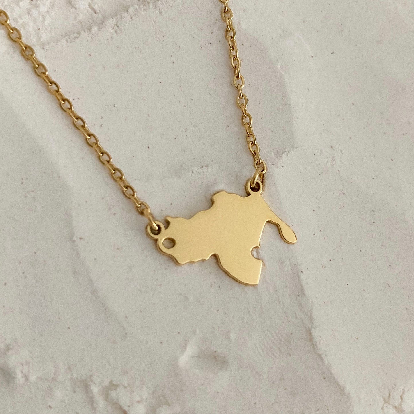 Golden minimalist Venezuela Necklace